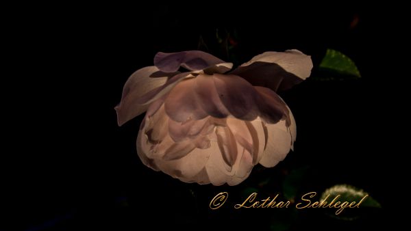 IMGP7447 top10 IMGP7447 top10